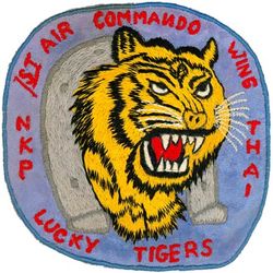 1st Air Commando Wing Morale
