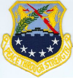 100th Bombardment Wing, Medium
