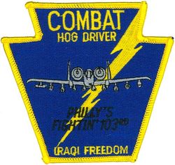 103d Fighter Squadron Operation IRAQI FREEDOM A-10 Pilot
