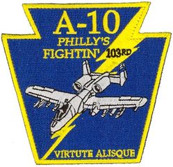 103d Fighter Squadron A-10
