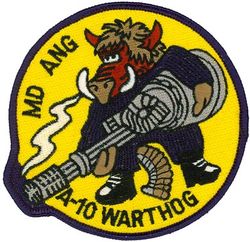104th Fighter Squadron A-10
