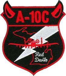 107th Fighter Squadron A-10
