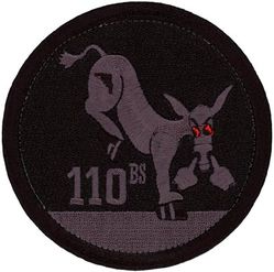 110th Bomb Squadron Morale

