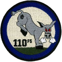 110th Fighter Squadron Heritage
