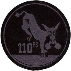 110th Bomb Squadron
