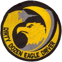 12th Fighter Squadron F-15 Pilot
