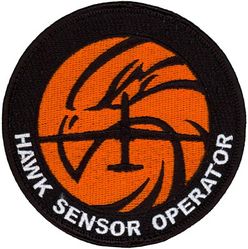 12th Reconnaissance Squadron RQ-1 Sensor Operator
