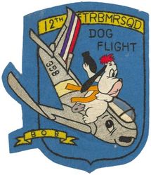12th Fighter-Bomber Squadron D Flight

