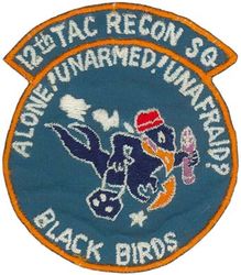 12th Tactical Reconnaissance Squadron 
