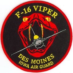 124th Fighter Squadron F-16
