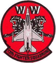 13th Fighter Squadron F-16 Wild Weasel
