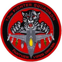 13th Fighter Squadron F-16 Pilot
