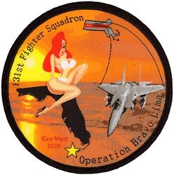 131st Fighter Squadron Operation Bravo Lima
2009
