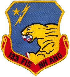 133d Fighter-Interceptor Squadron 
