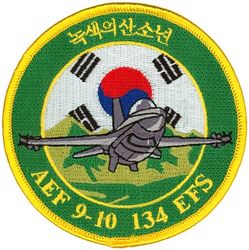 134th Expeditionary Fighter Squadron Air Expeditionary Force 9-10
