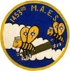 1453d Medical Air Evacuation Squadron
