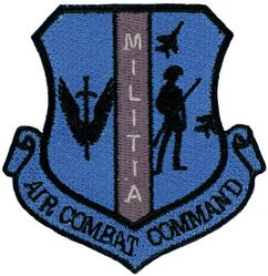 159th Fighter Squadron Air Combat Command
