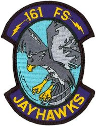 161st Fighter Squadron
