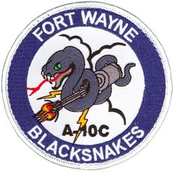 163d Fighter Squadron A-10C
