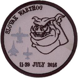 163d Expeditionary Fighter Squadron Exercise SLOVAK WARTHOG 2016
11-29 JULY 2016
