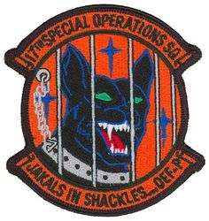 17th Special Operations Squadron Operation ENDURING FREEDOM-Pacific
