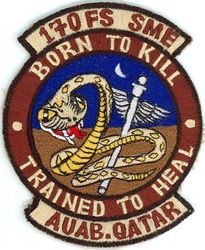 170th Fighter Squadron, Squadron Medical Element
Keywords: desert