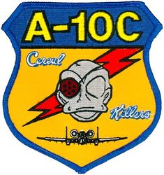 172d Fighter Squadron A-10C
