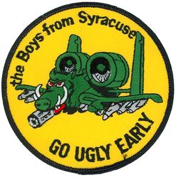 174th Tactical Fighter Wing  A-10
