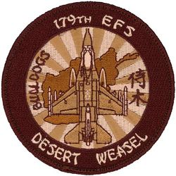179th Expeditionary Fighter Squadron F-16 Wild Weasel
Keywords: desert