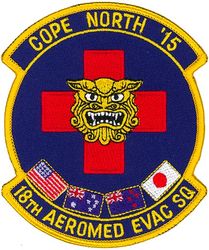 18th Aeromedical Evacuation Squadron Exercise COPE NORTH 2015
