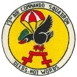19th Air Commando Squadron
