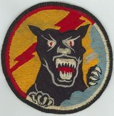 21st Tactical Fighter Squadron 

