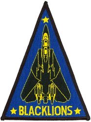 Fighter Squadron 213 F-14 Tomcat
VF-213 "Black Lions" 
1976-2005
Established as VF-213 on 22 June 1955; VFA-213 on 2 Apr 2006. 
Grumman F-14A Tomcat
