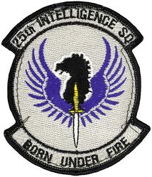 25th Intelligence Squadron
