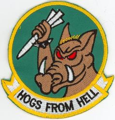 25th Fighter Squadron Morale
