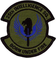 25th Intelligence Squadron
Keywords: subdued