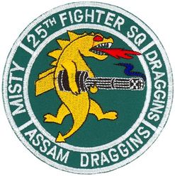 25th Fighter Squadron Forward Air Controller-Airborne/Combat Search and Rescue
