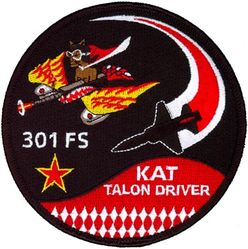 301st Fighter Squadron T-38 Pilot
