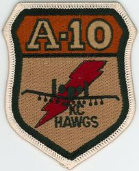 303d Fighter Squadron A-10
Keywords: desert