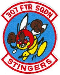 307th Fighter Squadron
