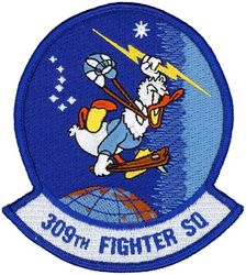 309th Fighter Squadron
