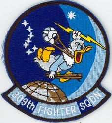 309th Fighter Squadron
Moved from Homestead to Shaw after Hurricane Andrew in 1992, inactivated there in 1993 eventually moving to Luke.
