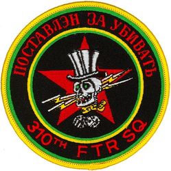 310th Fighter Squadron Aggressor
