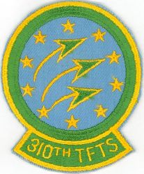310th Tactical Fighter Training Squadron 
