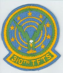 310th Tactical Fighter Training Squadron 
