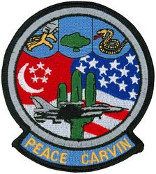 311th Fighter Squadron Peace Carvin
