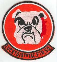 313th Tactical Fighter Squadron 
