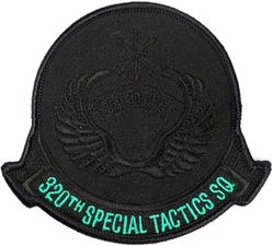 320th Special Tactics Squadron
