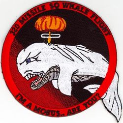 320th Missile Squadron Whale Flight
