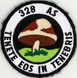 328th Airlift Squadron
Translation: TENETE EOS IN TENEBRIS = Always Kept in the Dark
